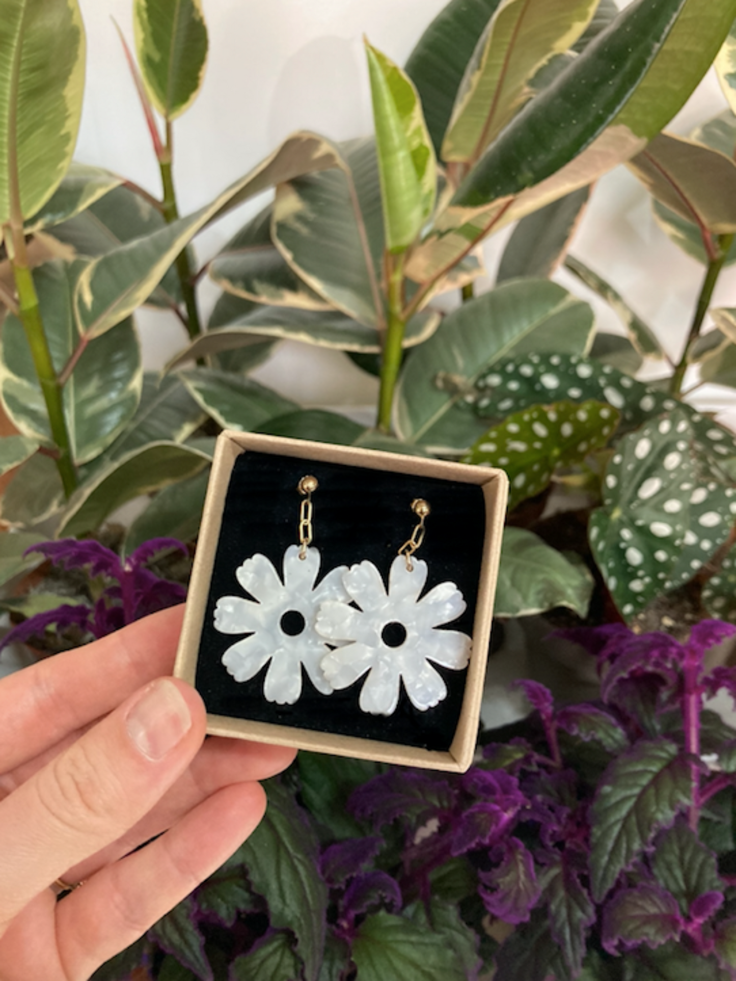 Fleurs -